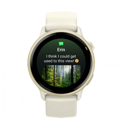 Умные часы Garmin VivoActive 6 Lunar Gold
