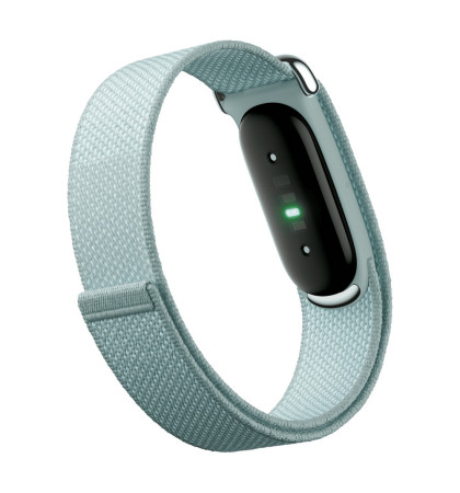 Фитнес-браслет Google Fitbit Air Fog