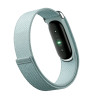 Фитнес-браслет Google Fitbit Air Fog