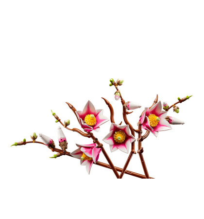 Конструктор LEGO Botanicals  Ветви Магнолии 11510