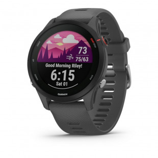 Умные часы Garmin Forerunner 255 Slate Gray