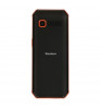 Мобильный телефон Xenium X300 Black/Orange