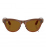 Умные очки Ray-Ban Meta Skyler RW4010 Shiny Caramel/Polar Brown