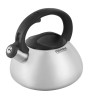 Чайник металлический Rondell Sieden RDS-088 Inox