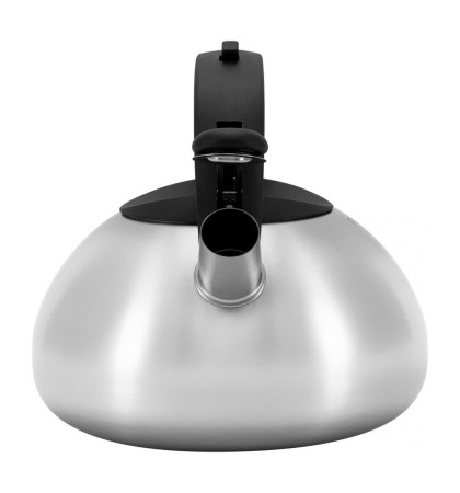 Чайник металлический Rondell Sieden RDS-088 Inox