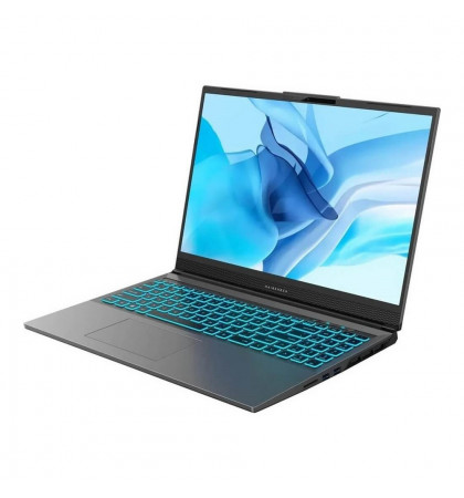 16" Ноутбук Maibenben X16A-R77446 (1920x1200, Ryzen 7 7435H 3.1Ghz, 16Gb DDR5, SSD512Gb, NVIDIA GeForce RTX 4060 8Gb) Gray