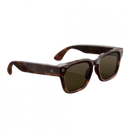 Умные очки Ray-Ban Meta Fury Mahogany/Green