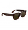 Умные очки Ray-Ban Meta Fury Mahogany/Green