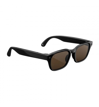 Умные очки Meta Adventurer Large Classic Black/Brown Lenses