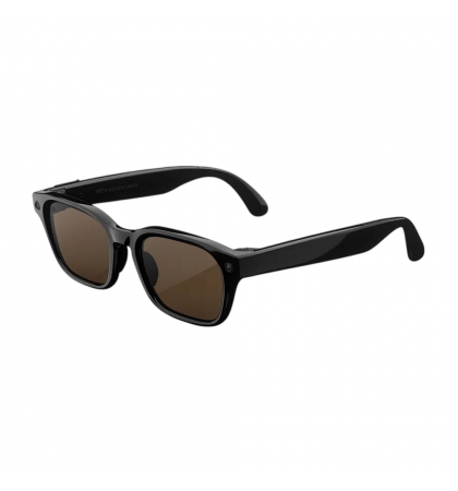 Умные очки Meta Adventurer Large Classic Black/Brown Lenses