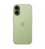 iPhone 17 256Gb (eSIM) Sage