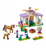 Конструктор LEGO Friends Тренировка лошадей 41746