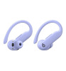 Наушники Beats Powerbeats Pro 2 Hyper Purple