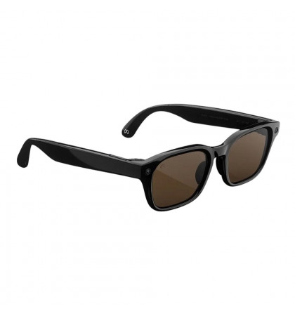 Умные очки Meta Adventurer Standart Classic Black//Brown Lenses