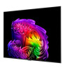 65" Телевизор LG 6OLED65G6RLA.ARU Silver