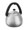 Чайник металлический Rondell Esfera RDS-1656 Inox