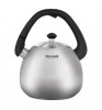 Чайник металлический Rondell Esfera RDS-1656 Inox