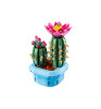 Конструктор LEGO Botanicals Цветущий кактус 11509
