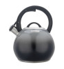 Чайник металлический Rondell Grigio RDS-1959 Gray