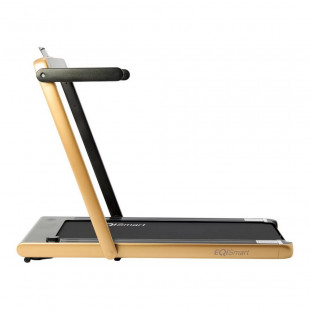 Беговая дорожка EQI Smart T200 Gold/Black