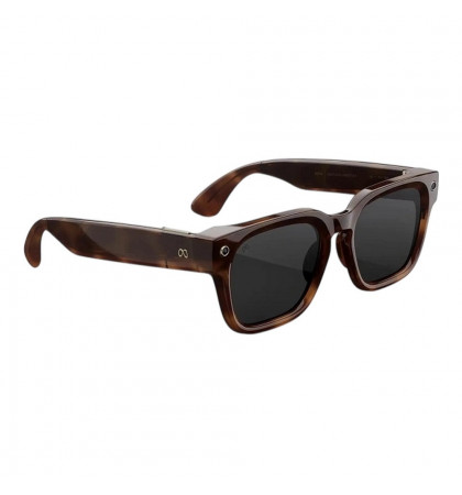 Умные очки Ray-Ban Meta Fury Mahogany/Transitions Grey