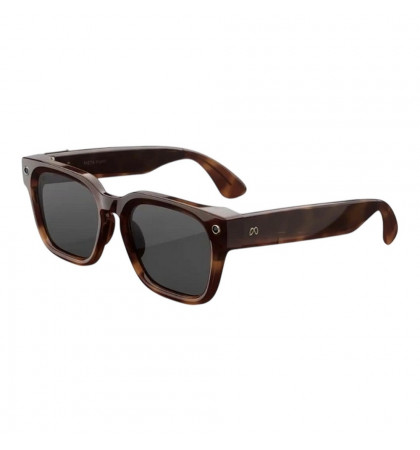 Умные очки Ray-Ban Meta Fury Mahogany/Transitions Grey