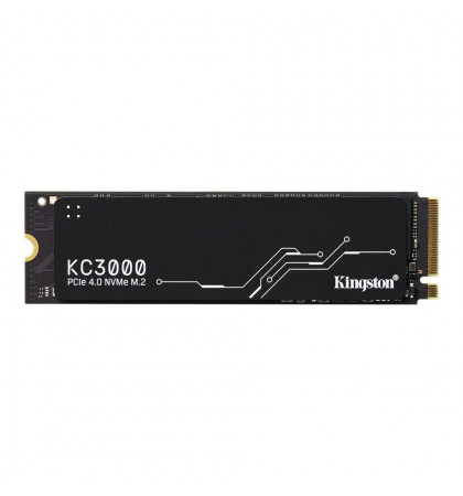 Твердотельный накопитель SSD Kingston M.2 1Tb SKC3000S/1024G