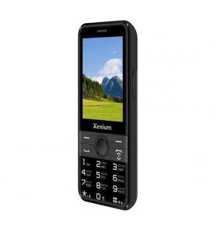 Мобильный телефон Xenium X800 Black