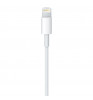 Кабель Apple USB - Lightning (MQUE2ZM/A) 1 м