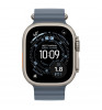 Умные часы Apple Watch Ultra 3 49mm Titanium Case Natural Blue Ocean Band