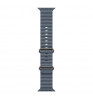 Умные часы Apple Watch Ultra 3 49mm Titanium Case Natural Blue Ocean Band