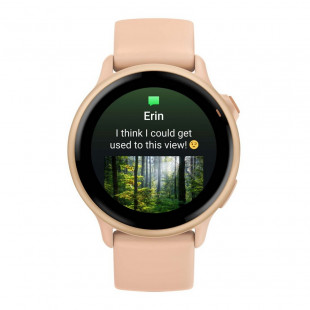 Умные часы Garmin VivoActive 6 Metallic Pink/Pink Dawn
