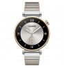 Умные часы Huawei Watch GT 4 AURORA-B19T Silver