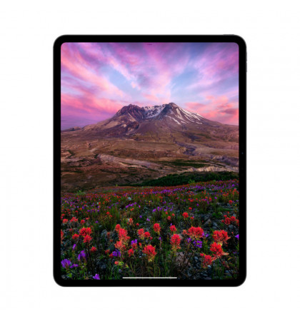 Планшет Apple iPad Pro 11 (2024) 1Tb Wi-Fi Space Black