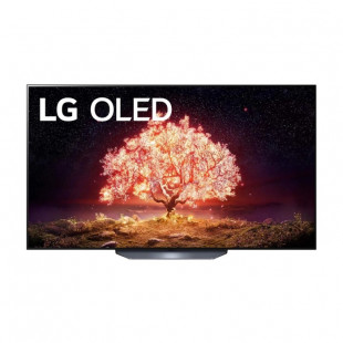 65" Телевизор LG OLED65B1RLA OLED, HDR (2021) Grey