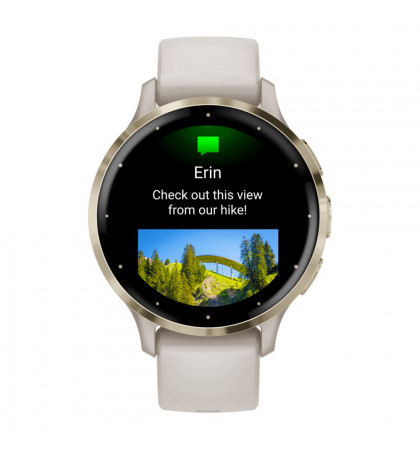 Умные часы Garmin Venu 3S Ivory/Soft Gold Buckle
