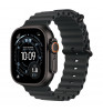 Умные часы Apple Watch Ultra 3 49mm Titanium Case with Ocean Band Titanium Black