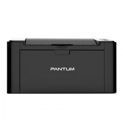 Принтер лазерный Pantum P2516 Black