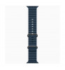 Умные часы Apple Watch Ultra 2 49mm Titanium Case with Ocean Band Blue