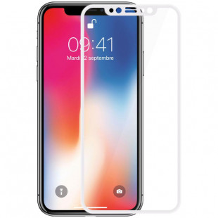 Защитная стеклопленка Baseus (iPhone X)