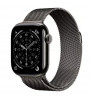 Умные часы Apple Watch Series 11 42mm Titanium Case with Milanese Loop Slate
