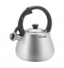 Чайник металлический Rondell Admiring RDS-1898 Inox