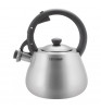 Чайник металлический Rondell Admiring RDS-1898 Inox