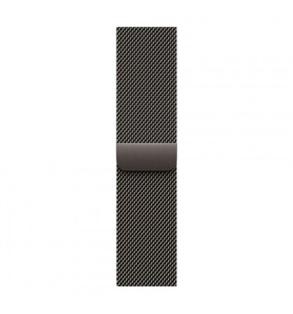 Умные часы Apple Watch Series 11 46mm Titanium Case with Milanese Loop M/L Slate